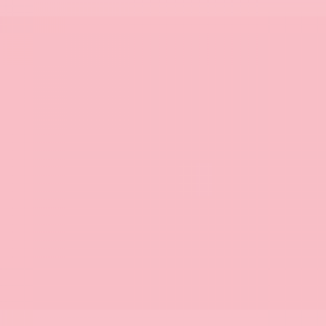 Flame - piglet-pink-light-fb-308