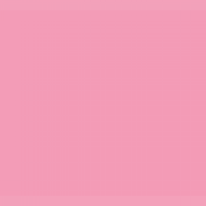 Flame - piglet-pink-fb-310