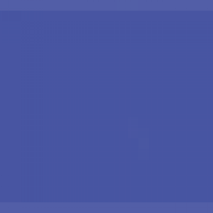 צבע ספריי גרפיטי - MOLOTOW Belton Premium - violet-dark