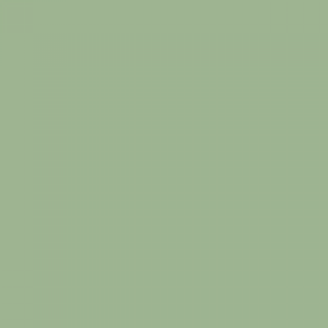 צבע ספריי גרפיטי - MOLOTOW Belton Premium - gale-green