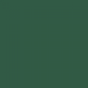 צבע ספריי גרפיטי - MOLOTOW Belton Premium - black-forest-green
