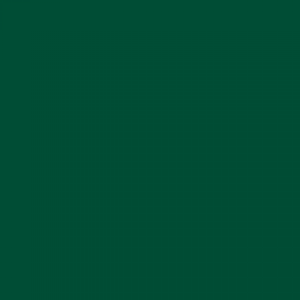 צבע ספריי גרפיטי - MOLOTOW Belton Premium - turquoise-green-dark