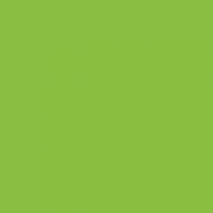 צבע ספריי גרפיטי - MOLOTOW Belton Premium - grasshopper