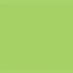 צבע ספריי גרפיטי - MOLOTOW Belton Premium - brilliant-green