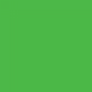 צבע ספריי גרפיטי - MOLOTOW Belton Premium - cliff-green
