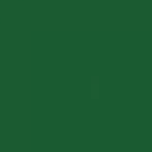 צבע ספריי גרפיטי - MOLOTOW Belton Premium - leaf-green
