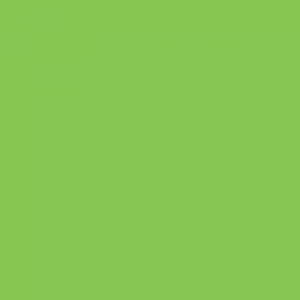 צבע ספריי גרפיטי - MOLOTOW Belton Premium - mighty-green
