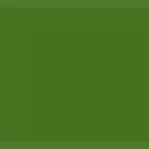 צבע ספריי גרפיטי - MOLOTOW Belton Premium - fern-green