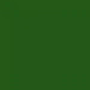 צבע ספריי גרפיטי - MOLOTOW Belton Premium - moss-green