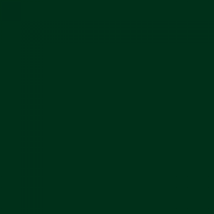 צבע ספריי גרפיטי - MOLOTOW Belton Premium - black-green