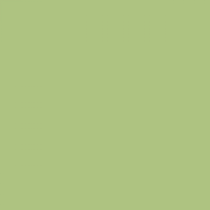 צבע ספריי גרפיטי - MOLOTOW Belton Premium - green-tea