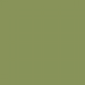 צבע ספריי גרפיטי - MOLOTOW Belton Premium - p-jay-green