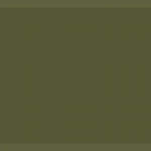 צבע ספריי גרפיטי - MOLOTOW Belton Premium - camouflage