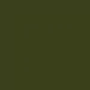 צבע ספריי גרפיטי - MOLOTOW Belton Premium - evil-olive