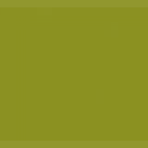 צבע ספריי גרפיטי - MOLOTOW Belton Premium - green-bean