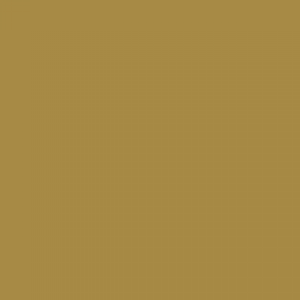 צבע ספריי גרפיטי - MOLOTOW Belton Premium - khaki
