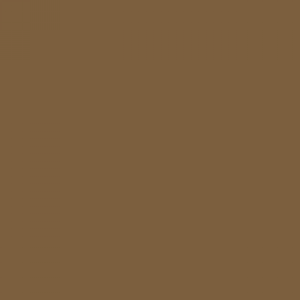 צבע ספריי גרפיטי - MOLOTOW Belton Premium - espresso