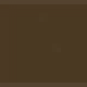 צבע ספריי גרפיטי - MOLOTOW Belton Premium - mocca