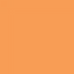 צבע ספריי גרפיטי - MOLOTOW Belton Premium - orange-brown-light