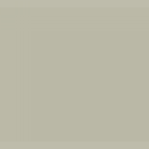 צבע ספריי גרפיטי - MOLOTOW Belton Premium - stone-grey-light