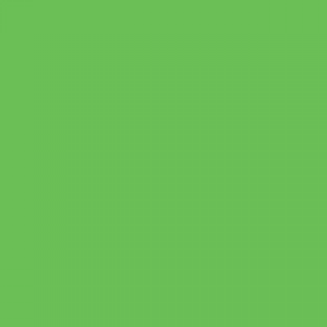 צבע אקריליק - MOLOTOW One4All 180ml - 219-neon-green-fluorescent