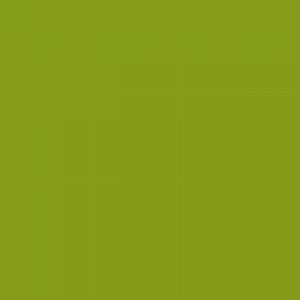צבע שמן גמבלין - Gamblin 1980 37ml - cadmium-green