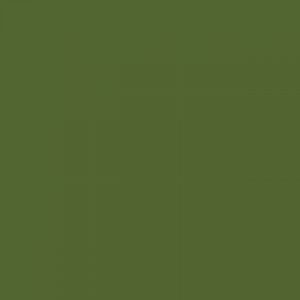 צבע שמן גמבלין - Gamblin 1980 37ml - chromium-oxide-green