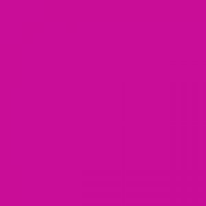 צבע הדפס על בסיס מים 150מל - Speedball - fluorescent-magenta-22