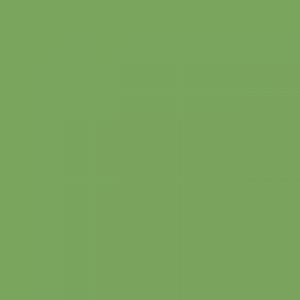 צבע שמן ואן גוך - Van Gogh Oils - 200ML - vg-chromium-oxide-green