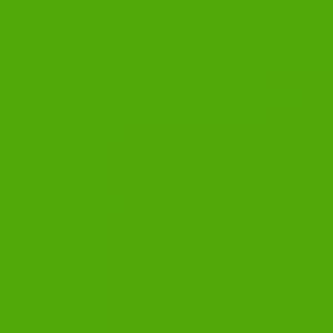 צבע שמן ואן גוך - Van Gogh Oils - 200ML - vg-fir-green