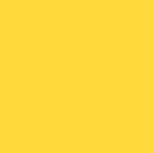 צבע שמן ואן גוך - Van Gogh Oils - 200ML - vg-naples-yellow-deep