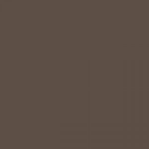 צבע שמן ואן גוך - Van Gogh Oils - 200ML - vg-vandyke-brown
