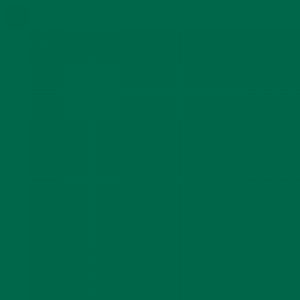 MOLOTOW GRAFX Aqua Ink טוש צבע מים - dark-green
