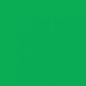 אמסטרדם אקריליק - Amsterdam Acrylic 120ml - brilliant-green