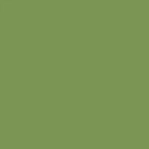 אקוליין צבע מים נוזלי - Ecoline - bronze-green