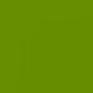 אקוליין צבע מים נוזלי - Ecoline - forest-green