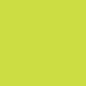 אקוליין צבע מים נוזלי - Ecoline - grass-green