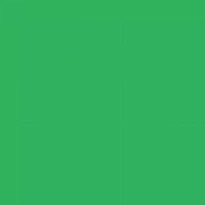 אקוליין צבע מים נוזלי - Ecoline - green