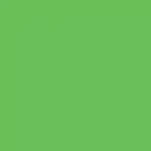 אקוליין צבע מים נוזלי - Ecoline - light-green