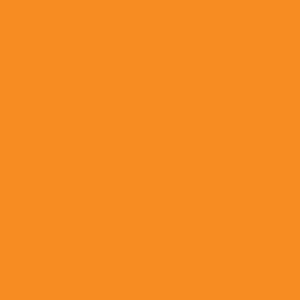 אקוליין צבע מים נוזלי - Ecoline - light-orange