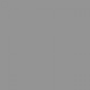 אמסטרדם אקריליק - Amsterdam Acrylic 120ml - neutral-grey