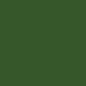 אמסטרדם אקריליק - Amsterdam Acrylic 120ml - olive-green-deep