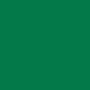 צבע טקסטיל - JACQUARD Textile 60ml - olive-green