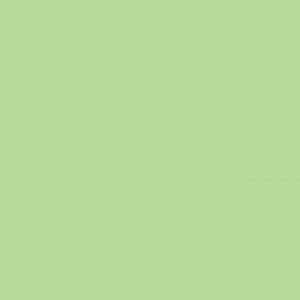 אקוליין צבע מים נוזלי - Ecoline - pastel-green