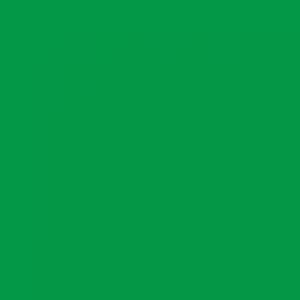 אמסטרדם אקריליק - Amsterdam Acrylic 120ml - permanent-green-light