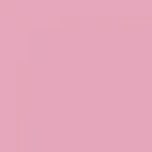 אמסטרדם אקריליק - Amsterdam Acrylic 120ml - persian-rose
