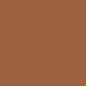 אמסטרדם אקריליק - Amsterdam Acrylic 120ml - raw-sienna