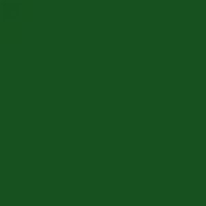 אמסטרדם אקריליק - Amsterdam Acrylic 120ml - sap-green