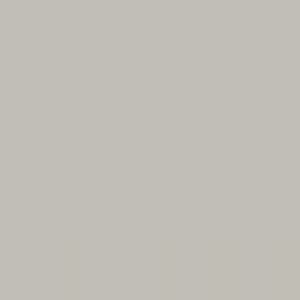 אמסטרדם אקריליק - Amsterdam Acrylic 120ml - titanium-buff-deep
