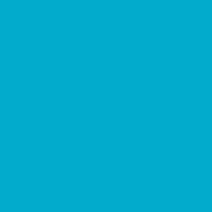 אקוליין צבע מים נוזלי - Ecoline - turquoise-blue